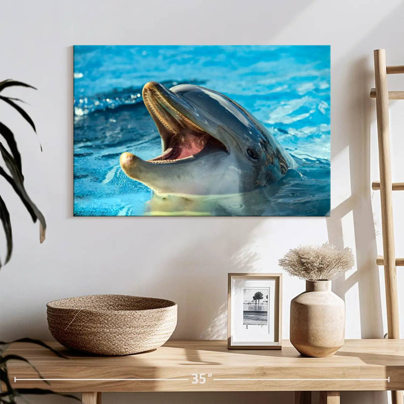 Smiling Playful Dolphin, 16" H x 24" W