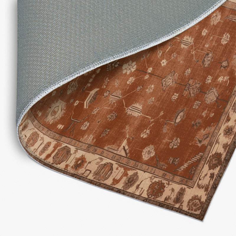 Tapis intérieur et extérieur brun Overdyed, Rectangle 4pi x 6 pi