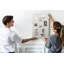 Wall Mounted Cork Board