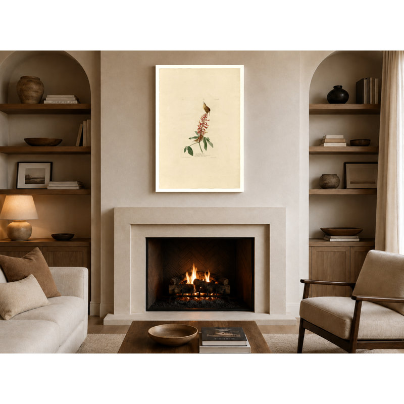 Great Carolina Wren (1827) - Portrait, art mural sur toile, 14" W x 11" H