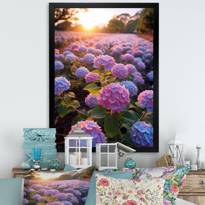 " Purple Blue Blooms Of Hydrangea "