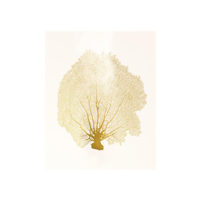 Blush Coral I Print by Sofia Fox