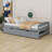 Platform Bed With Trundle Bed