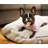 Pickfair Houndstooth Polyester Pet Bed