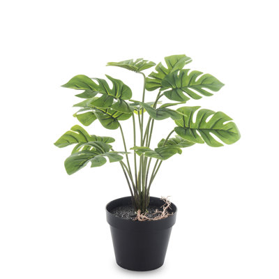 40cm Faux Evergreen Plant in Pot