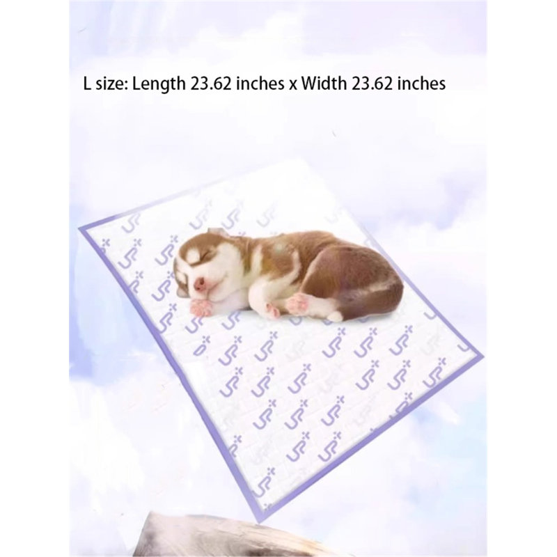 Tapis pour chien (ensemble de 40)