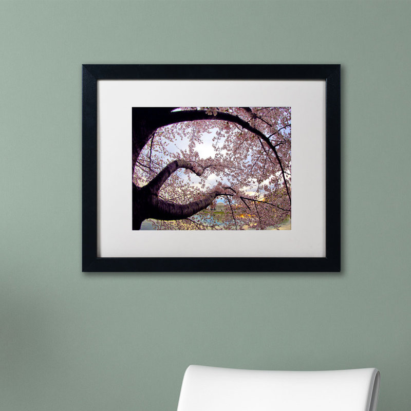 «Cherry Blossoms 2014-1» par CATeyes, Khosrov, reproduction de photo encadrée, H 16 po x l 20 po, Blanc