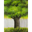 Grand arbre vert | Living Living Green-961201494-961201492