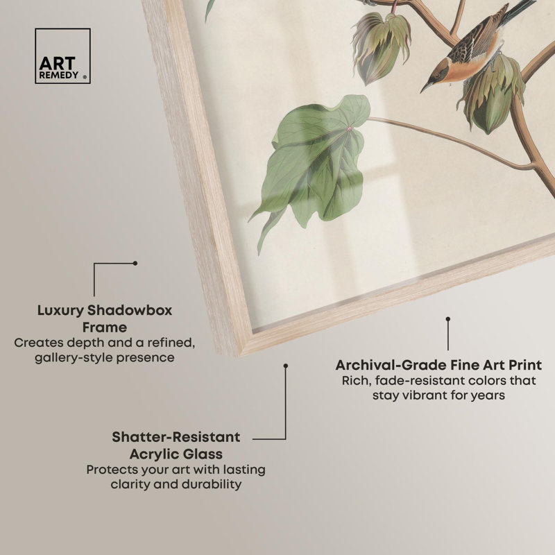 Art botanique «Softness of Things Shadowbox» par Art Remedy, H 55 po x l 37 po, Crème, crème