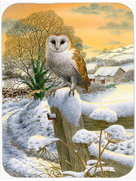 Planche à découper en verre hibou grange de caroline Sunset