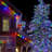 Janulia String Lights
