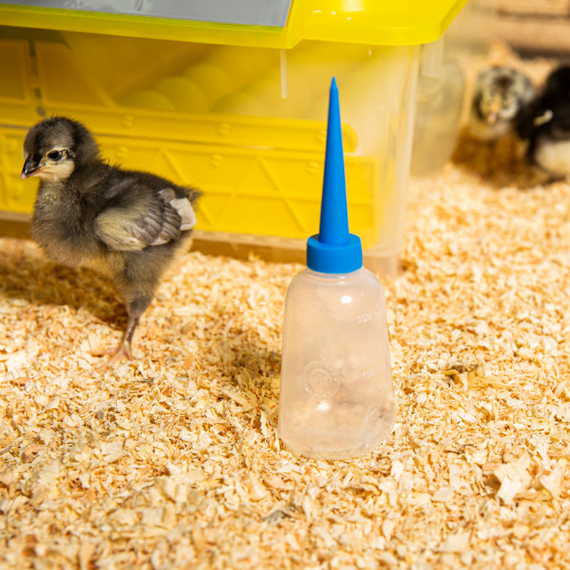Demirose Chicken Egg Incubator For Up To 40+ Eggs