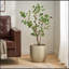 Bonsai artificiel 120 feuilles-196483729