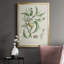 Antique Ammond Botanical IV, reproduction encadrée sur papier-88436193-88436189