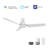 Madrid 52'' Smart Ceiling Fan with Remote, Light Kit Included,Works with Google Assistant and Amazon Alexa,Siri Shortcut.-1073885019-1073885016