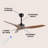 Artisha 50'' Ceiling Fan-684973090