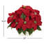 Arrangements floraux de poinsettias en pot