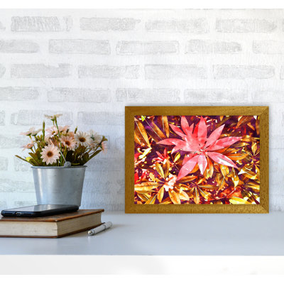 Autumnal Flowers - Print on Canvas