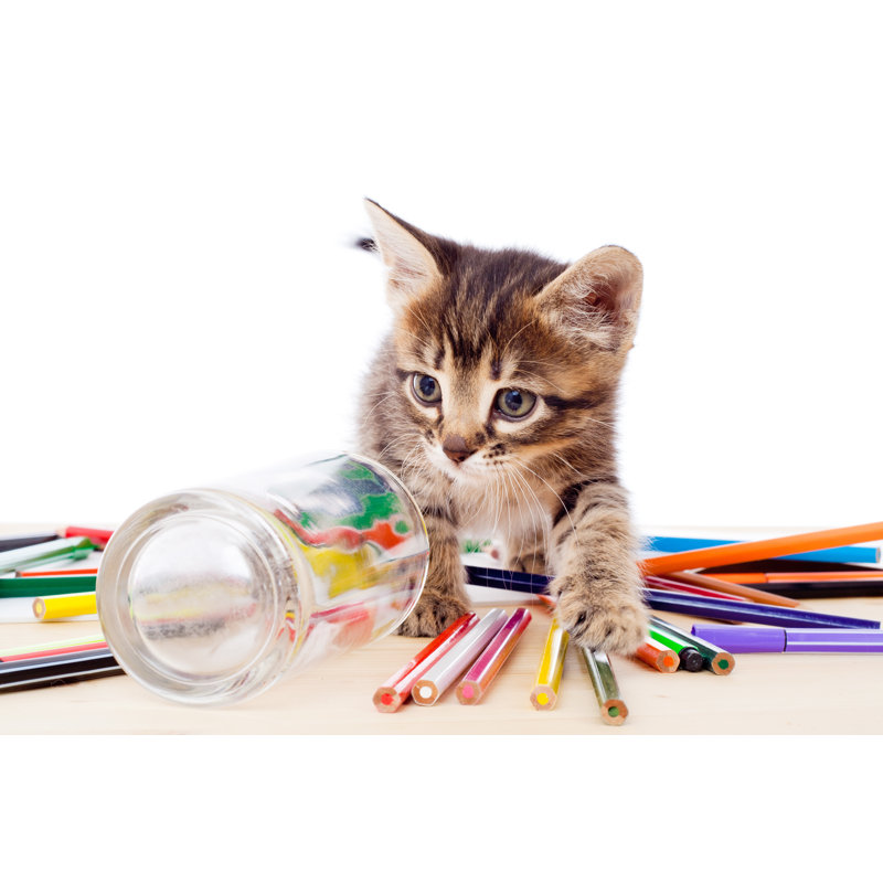 Cute Tabby Kitten On A Table Of Colorful Pencils by 3sbworld - Wrapped Canvas Print, 30cm H x 46cm W x 3.8cm D