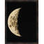 Cycle of the Moon 2 Framed Graphic Art