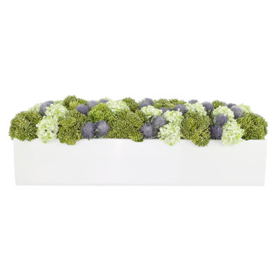 Sedum and Thistle Arranged in Rectangular Planter