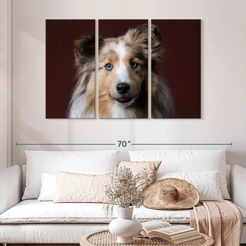 Adorable Sheltie, H 32 po x l 50 po