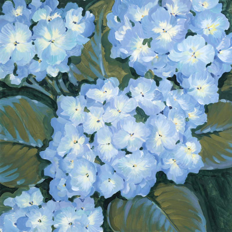«Blue Hydrangeas I» par Tim O'Toole - reproduction d'art sur toile, H 12 po x l 12 po
