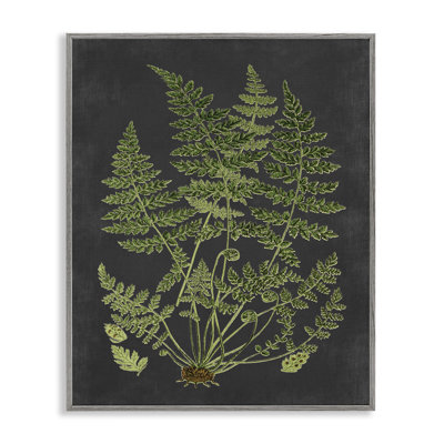 «Botanical Dessin Green Black Design», impression