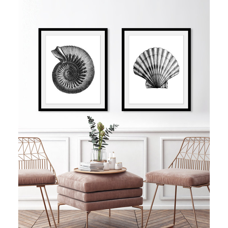 Shell - Single Picture Frame Print