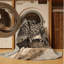  Tapis lavable pangolin-41045595