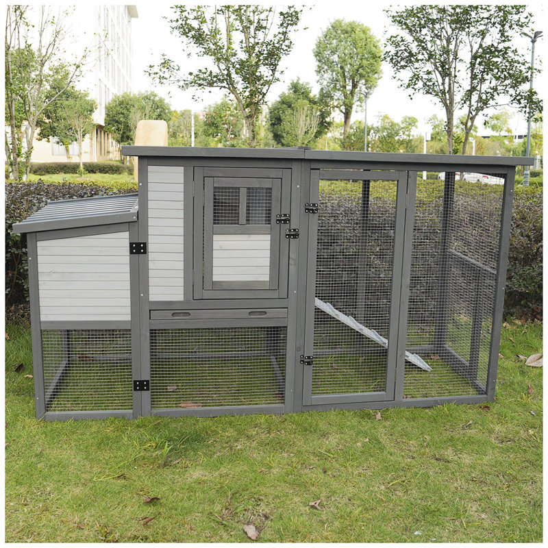 79"Large Chicken Coop With Upgraded Perches