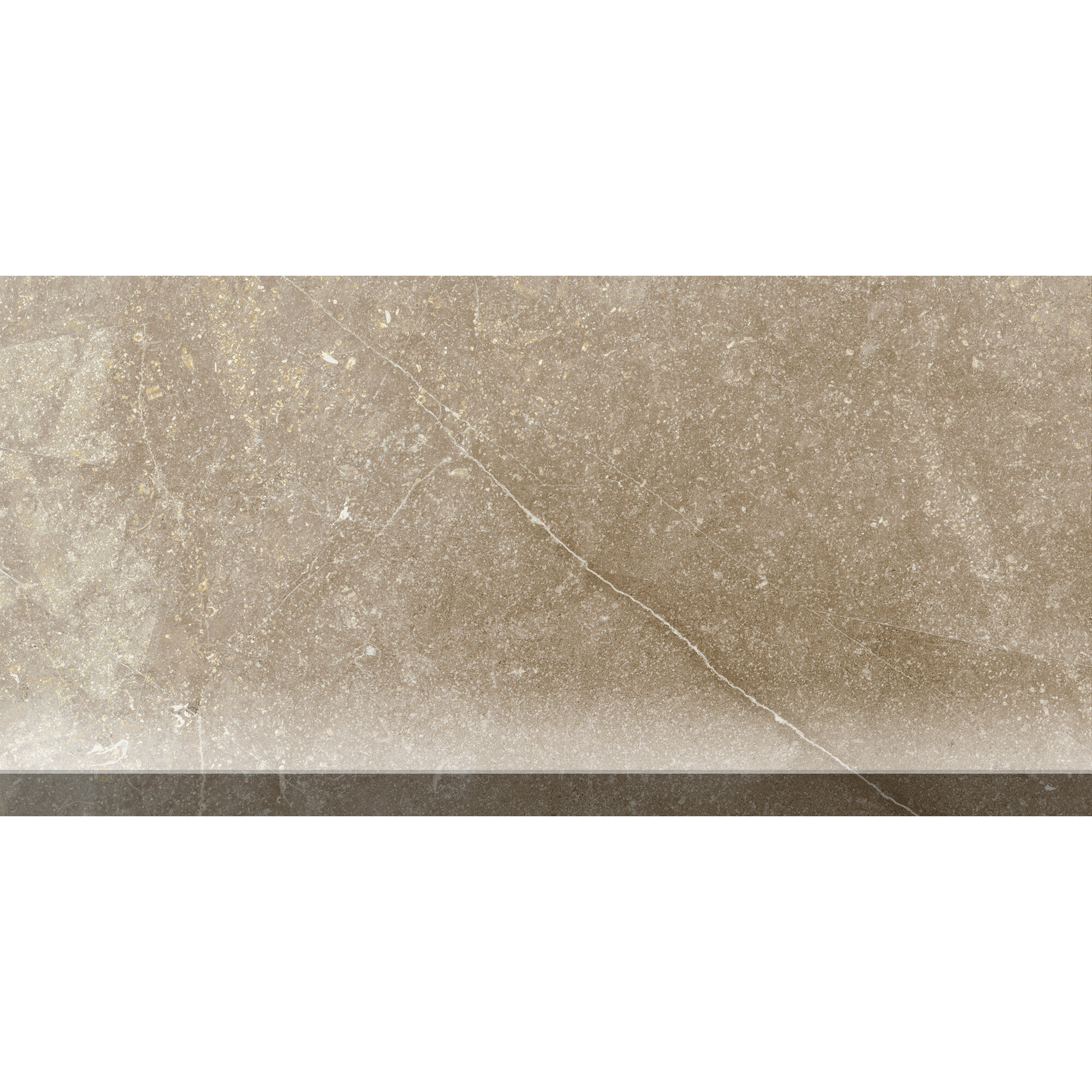 https://assets.wfcdn.com/im/57295498/compr-r85/1338/133800430/magic-act-12-l-x-6-w-porcelain-stone-look-cove-base-tile-trim.jpg