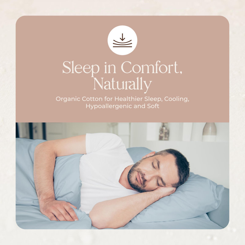100% Organic Cotton Pillow Cases King Size Set of 2-100% Cotton Pillowcases GOTS Certified 500 Thread Count - Naturally Cooling Comfortable Breathable & Soft Pillow Cases (Powder Blue, King)