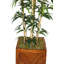 Bambou artificiel Panama 57 "-501017467