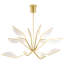 Belterra 38 Chandelier-423539930-423539929