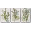 Coral Blockprint I - Ensemble de 3 reproductions de cadres photo sur toile-97754124-97754125