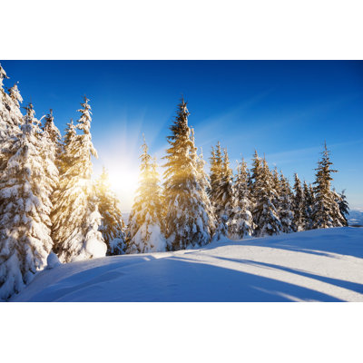 Winter - Wrapped Canvas Print