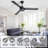 Forgan 52'' Ceiling Fan-2072586051