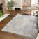 Oriental Indoor Rug