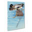 Ducks In The Water by Louis Renard - Wrapped Canvas-55342428