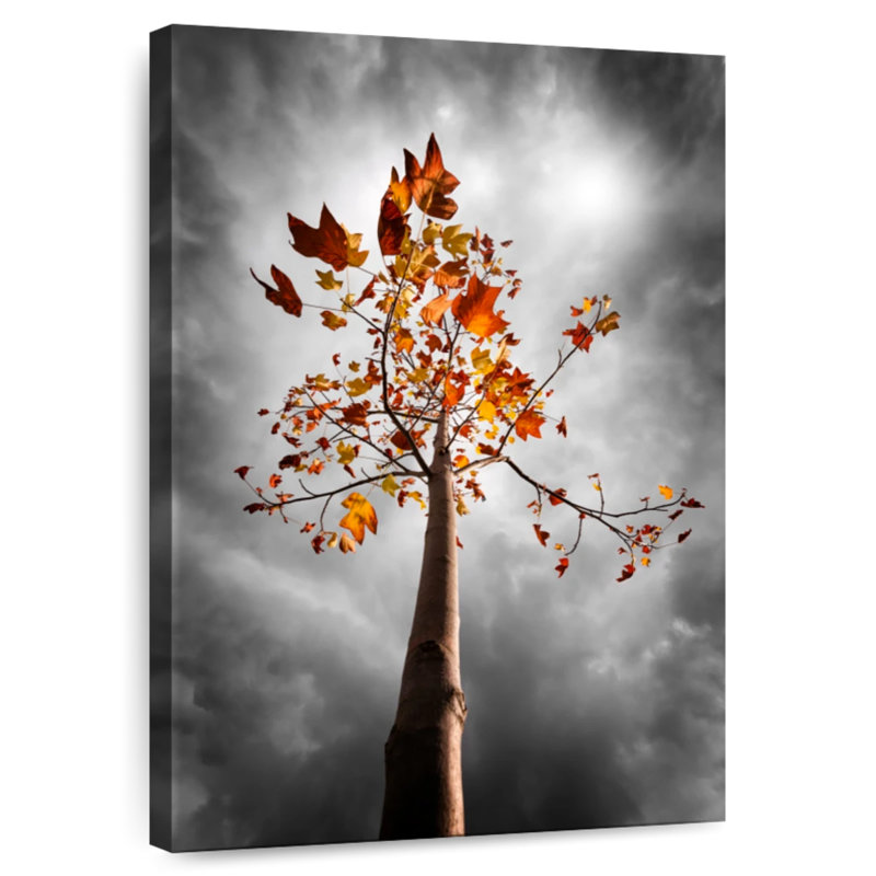 Alvord, ciel orageux sur un arbre d'automne, H 24 po x l 16 po