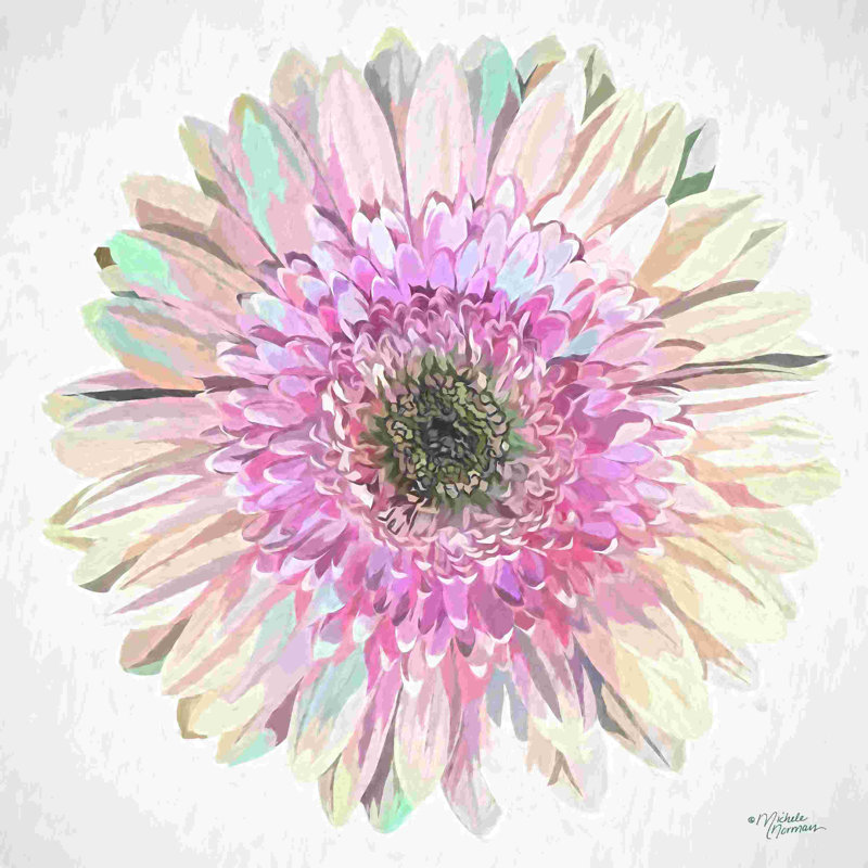 " Gorgeous Gerber " by Michele Norman, 12" H x 12" W, No, Wrapped Canvas
