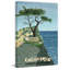 «The Lone Cypress Tree», impression sur toile tendue-2027647467
