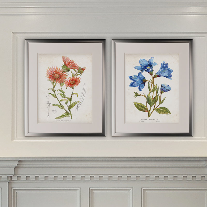 «Botanical I», ensemble de 2 reproductions d'impressions encadrées, Cadre argenté