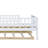 Miesner Kids Twin Daybed with Trundle-1936475027
