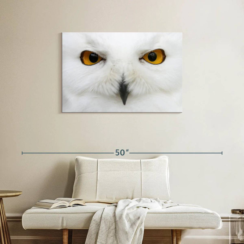 Brampt yeux de chouette des neiges, H 24 po x l 36 po