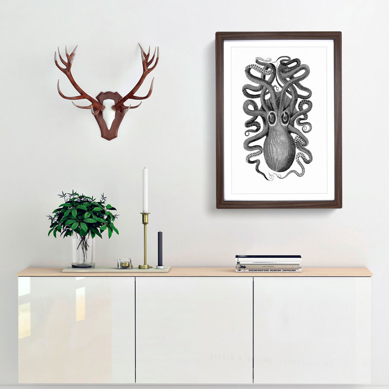 Octopus in Black and White by George Shaw - Picture Frame Drawing Print, 48cm H x 36cm W x 2cm D, Walnut Framed