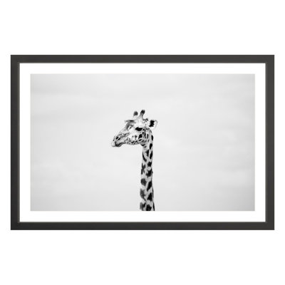 "Gerald" by Amanda Anderson
