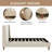 Upholstered Platform Bed with Wingback Headboard, Velvet Bed Frame with Tall Legs and Underbed Storage, Weight Capacity 500 lbs, No Box Spring Needed, Beige, Queen-37473438-37473436