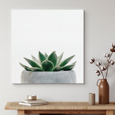 «Green Succulent In Grey Pot Nature», impression sur toile multicolore
